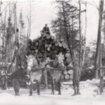 logging-horse-buggyCCF_000003