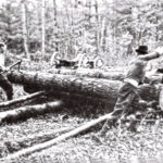 logging-lumberjacks-forrestCCF_000005