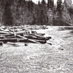 logging-ottawa-river-logs-floatingCCF_000001
