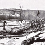 logging-ottawa-riverCCF_000005