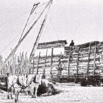 logging-rail-cartsCCF_000004