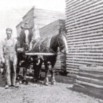 man-horse-lumberCCF_0000006